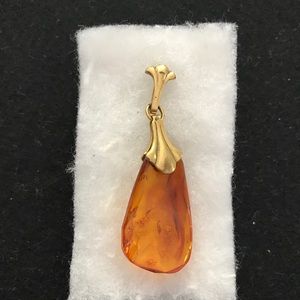 Amber Pendant from Poland